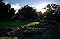 Evening light, Adelaide Botanic Gardens IMGP8861_2_3_fused